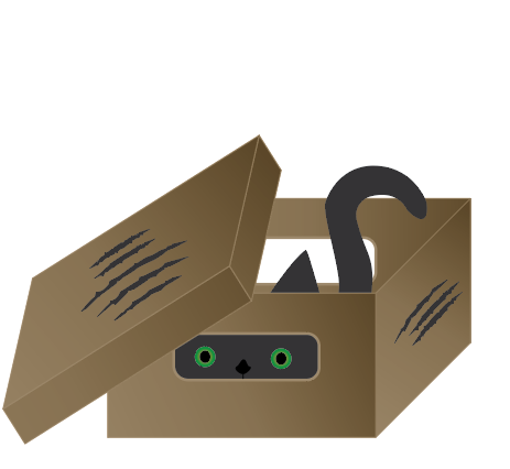 Katze in Box