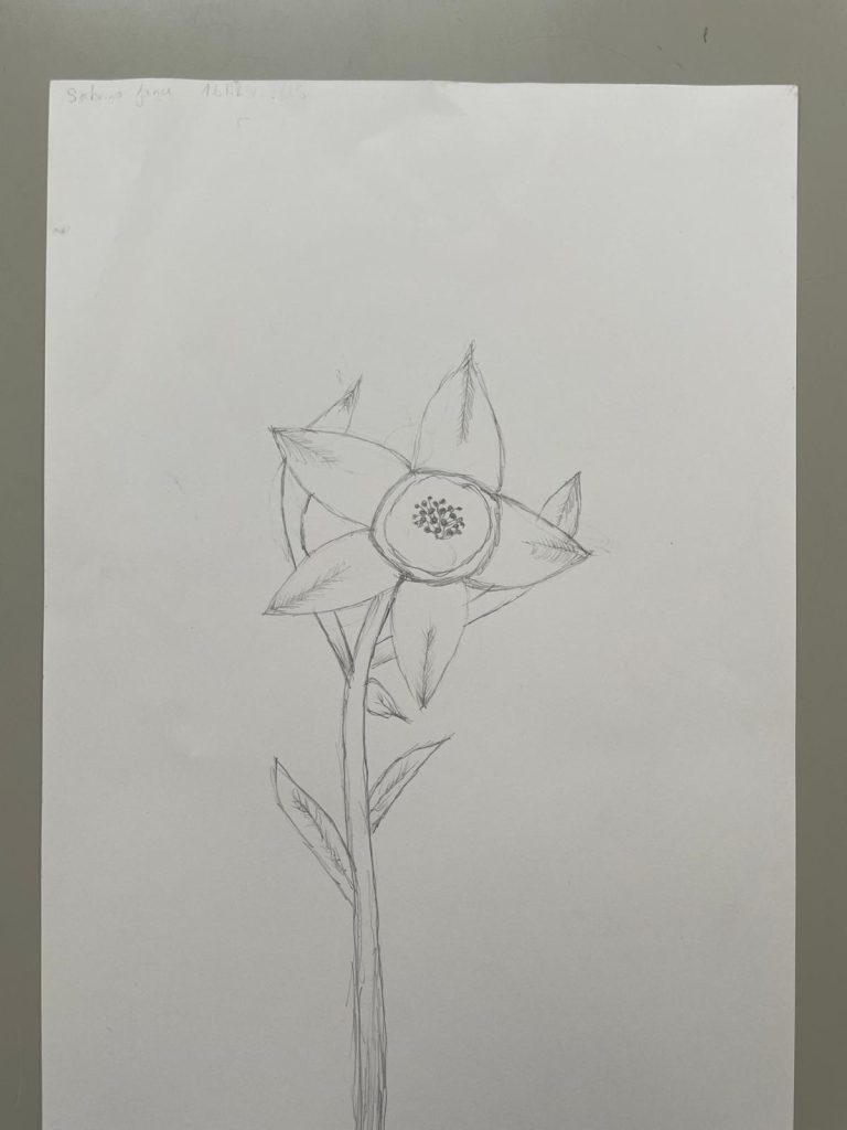 WhatsApp Bild 2025-05-13 um 13.51.02_417a4c09